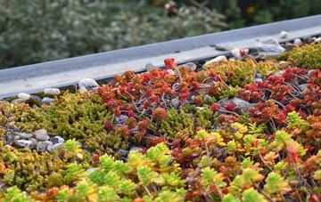 the cost of Blymhill green roof installation