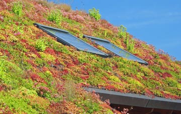 Blymhill living roof systems